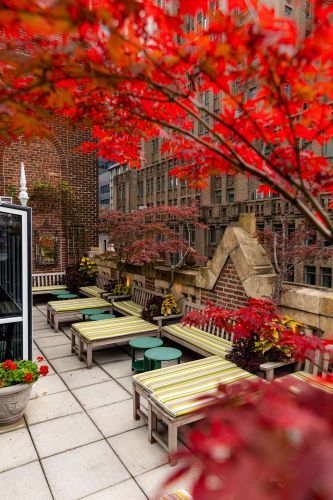 Our Outside Terrace off the Poetry Garden is available all year round.